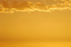 DSC_1384
