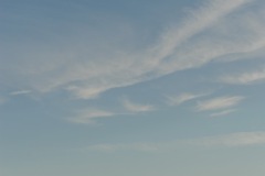 819_0561