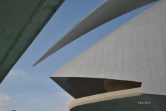 989_0226