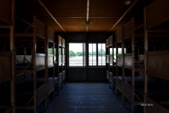 LAB_1806