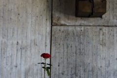 LAB_1838