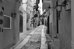 MOR_3764