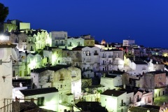 MOR_3875
