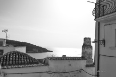 MOR_3896