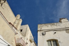 MOR_3897