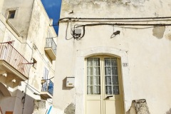 MOR_3898