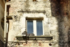 MOR_4003