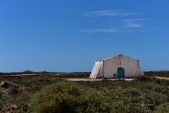 LAB_8033