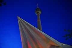 MOR_9078