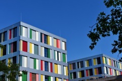 MOR_9172
