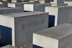 MOR_9378