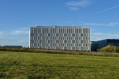 MOR_9392