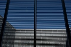MOR_9433