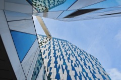 MOR_3172