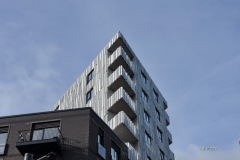 MOR_3178