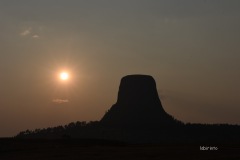A010_0791