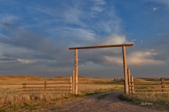 MOR_0740