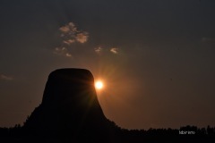 MOR_1081