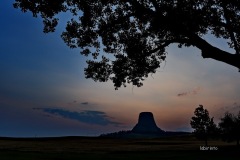 MOR_1098