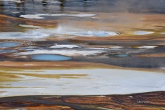 MOR_1401