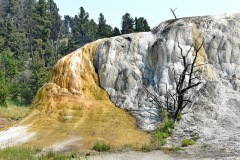 MOR_1675