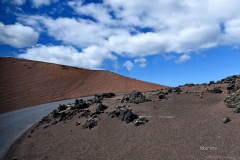 MOR_3617