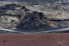 MOR_3631