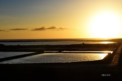 MOR_3835