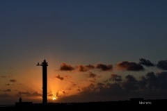 MOR_3849