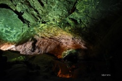 MOR_3936