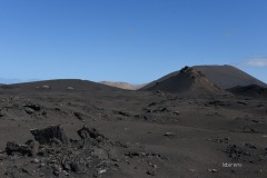 A016_0097