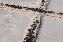 A016_0428