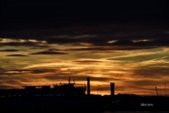 MOR_7637
