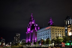 MOR_7644