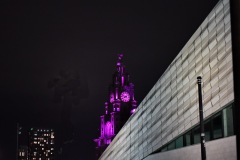 MOR_7648