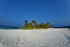 MOR_7894