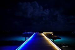 MOR_7969