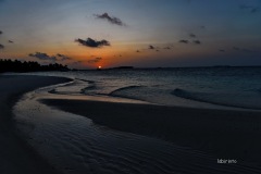 MOR_8015